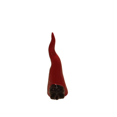 cornicello-media-maschera